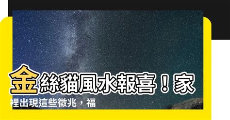 金絲貓風水|12 個常見的居家風水禁忌 & 化解方式，好的格局與擺設，讓你健。